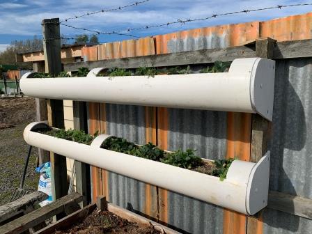 View of Planter Box - Wall - Ashburton Menzshed
